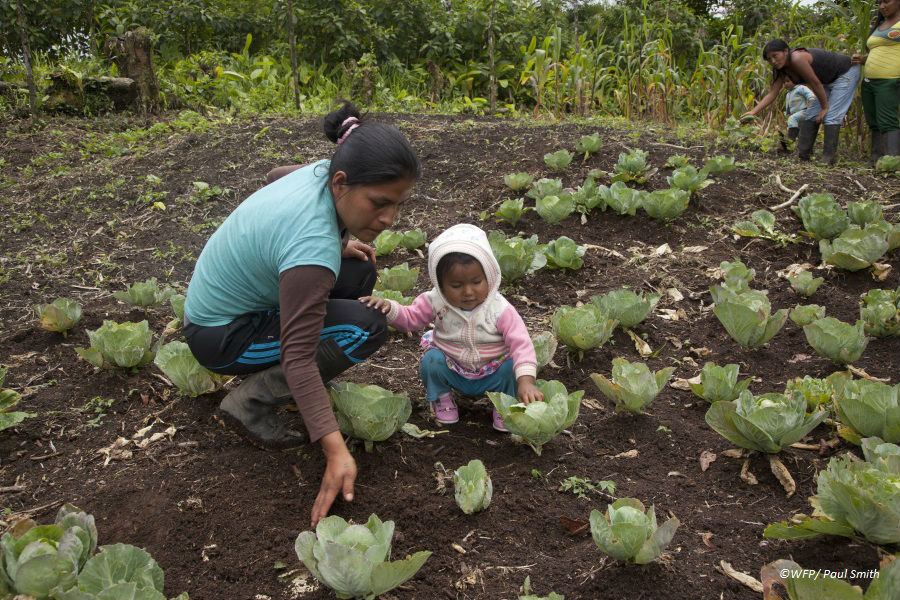 World Food Program USA: Building Self-Reliance in Rural Communities